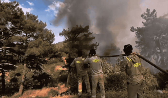 Mersin ve Hatay’daki orman yangınlarıyla mücadele sürüyor