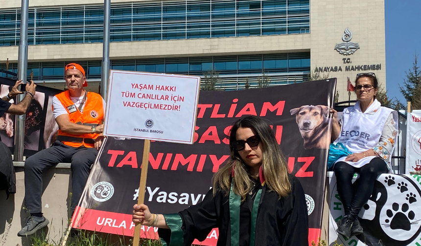 AYM önünde nöbet: Hayvanseverler tartışmalı yasanın iptalini istiyor