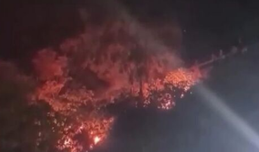 Bursa’daki orman yangınlarında suça sürüklenen çocuklara ağaç dikme cezası