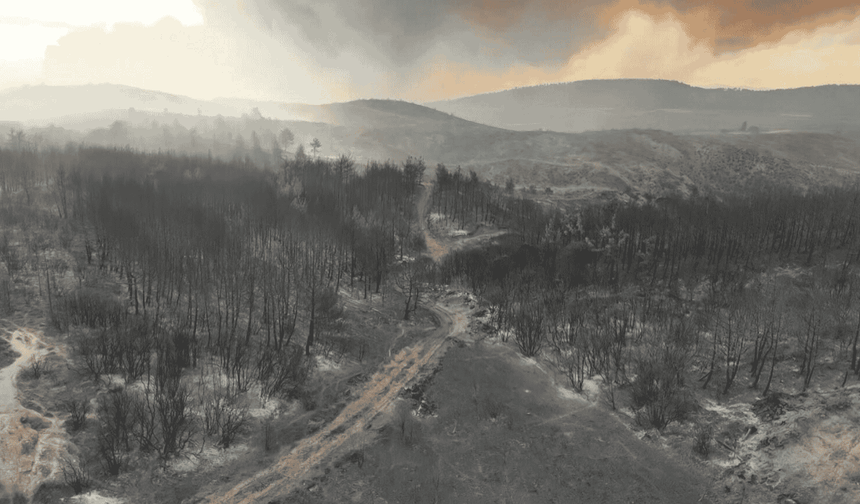 Çanakkale Gelibolu’daki orman yangınında 5 köy tahliye edildi