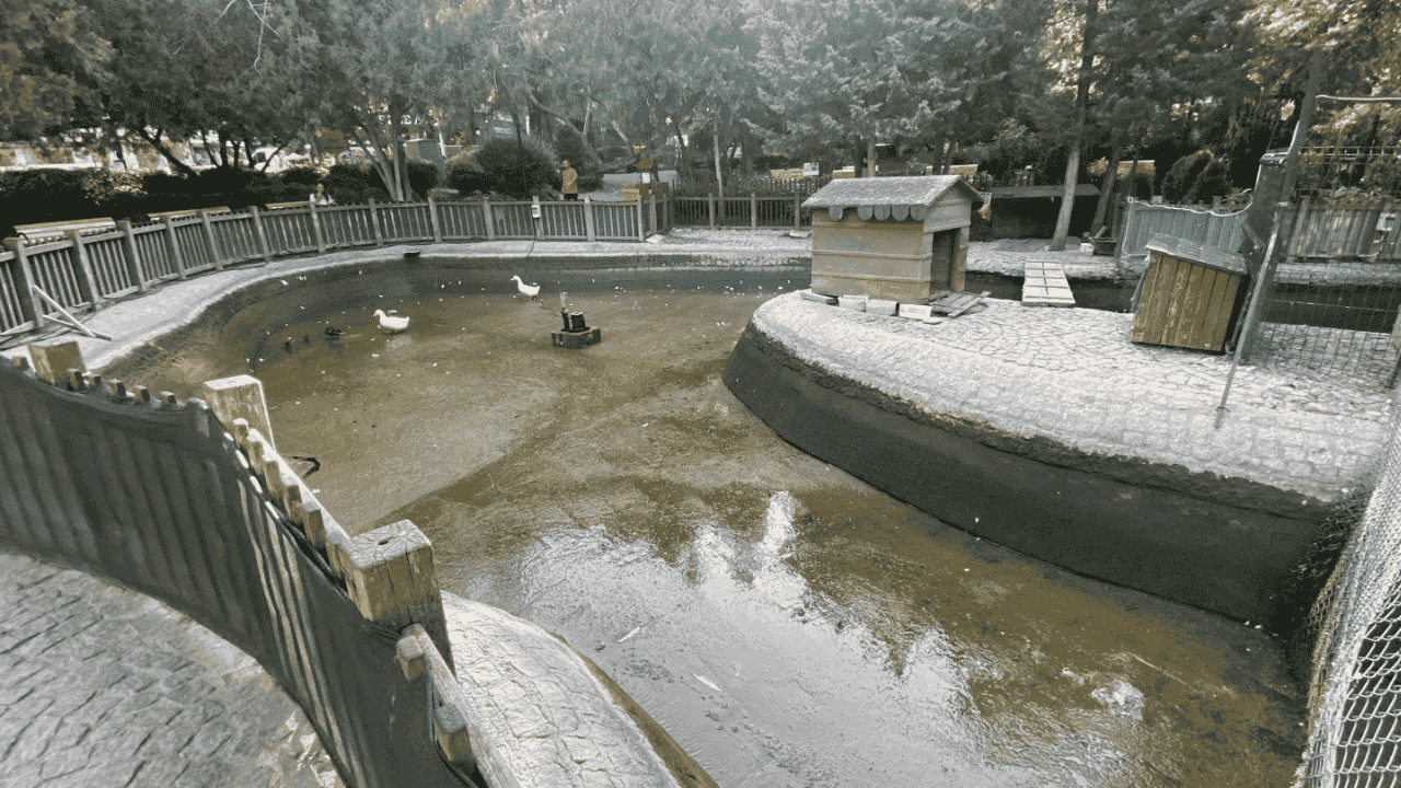 Kugulu Park Parla Temizlik (2)